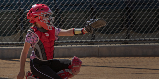 Youth Sports Signups